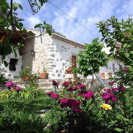Quinta Do Tempo Turismo Rural Monchique Buitenkant foto