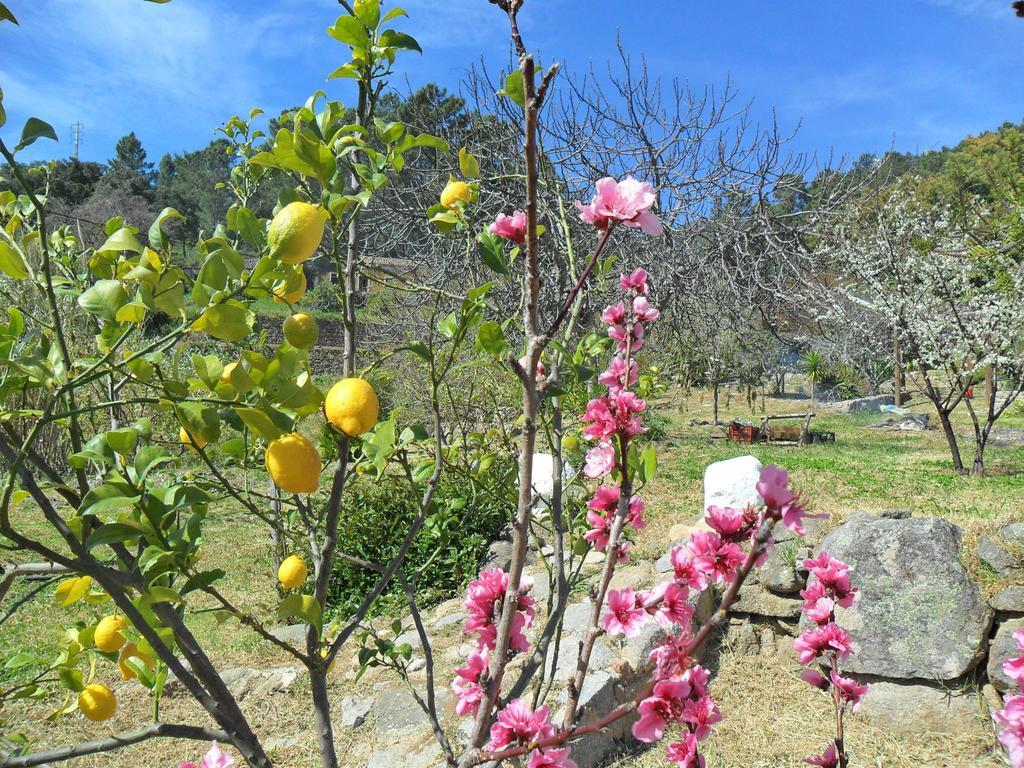 Quinta Do Tempo Turismo Rural Monchique Kamer foto