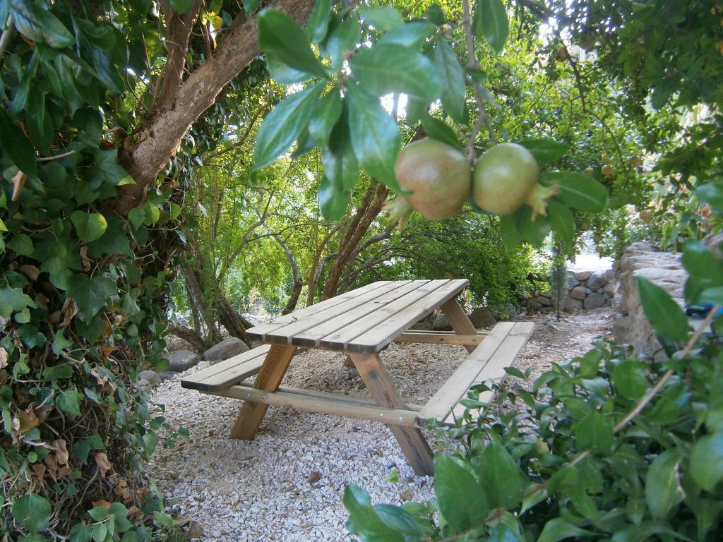 Quinta Do Tempo Turismo Rural Monchique Buitenkant foto